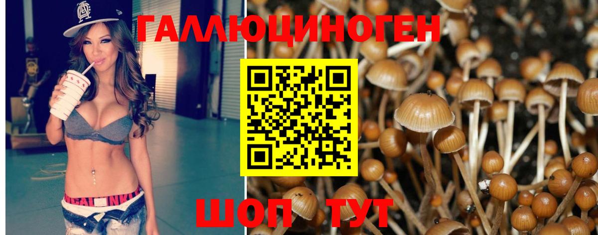 Галлюциногенные грибы Magic Shrooms Сатка